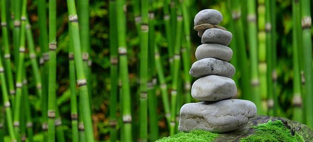 Recommendations for Balanced Leadership in a Divided Nation