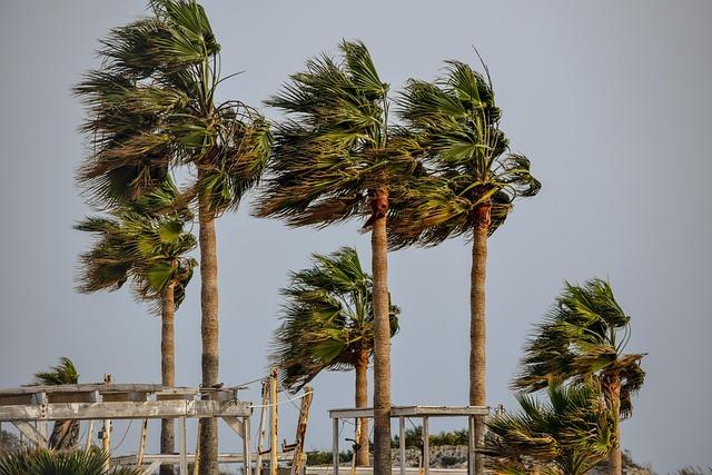 Impact on Agriculture and Infrastructure: Assessing Potential Damage from Sara