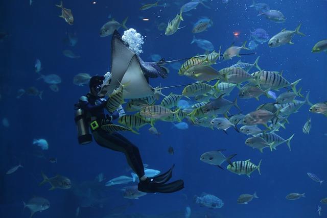 Recommendations for Enhancing Local Marine Infrastructure and Services