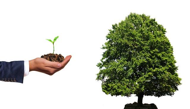 Future Developments and Their Impact on Living Standards