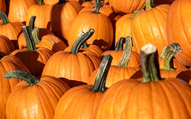 Future Outlook ​for ‍the Pumpkin Market