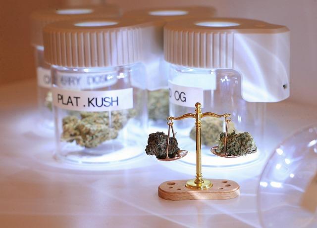 Pathways to Legalization: Balancing Economic Needs with Environmental Safeguards