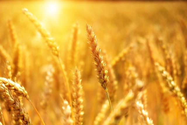 Shifts ⁢in ‌Agricultural and Industrial ‍Sectors Post-Agreement