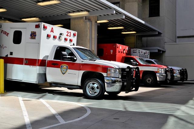 Emergency Response Efforts in the Face of Natural Calamity