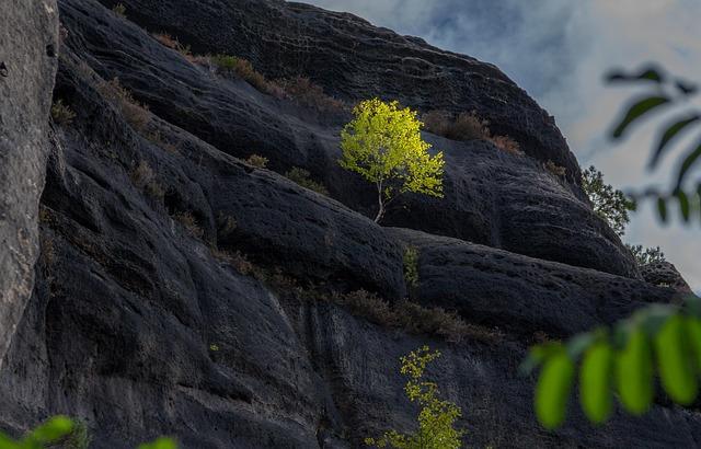 The Ancient Waters of the New River: A Geological Perspective