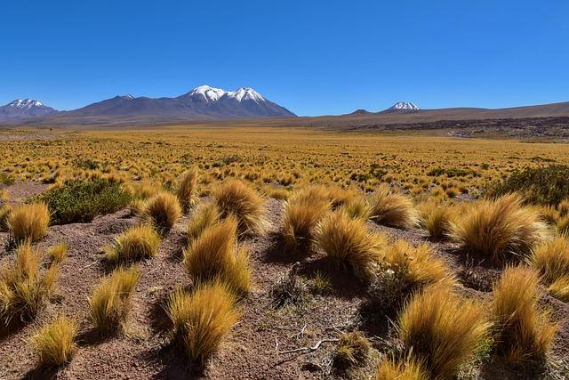 The Road to the World Cup: What⁢ Chile ⁢Can‍ Learn ⁢from Past Performances