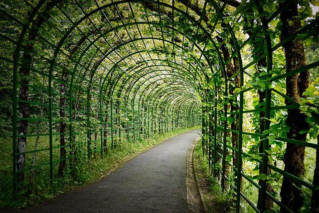 Pathways to Recovery: Policy Recommendations for a Healthier Future