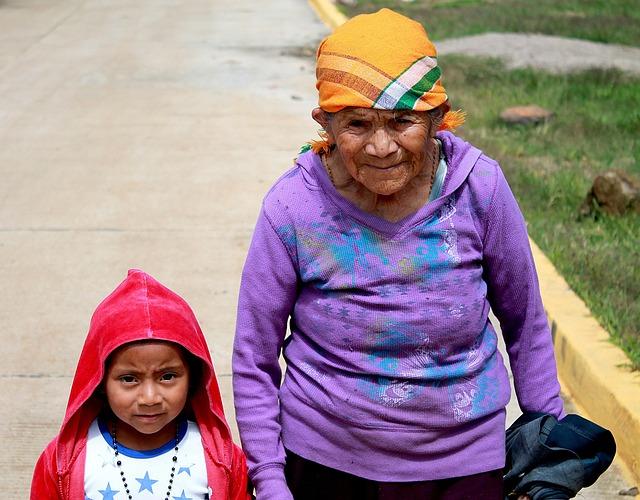 Honduran Government's Response: Accountability and Implementation Challenges