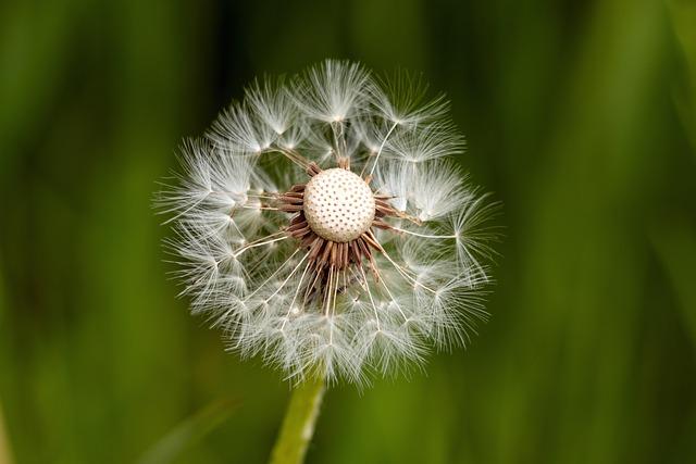 Recommendations for Strengthening Diplomatic Resilience in challenging Times