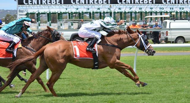 Expert Commentary: Insights from Jockeys and Trainers Ahead of the Mouttet Mile