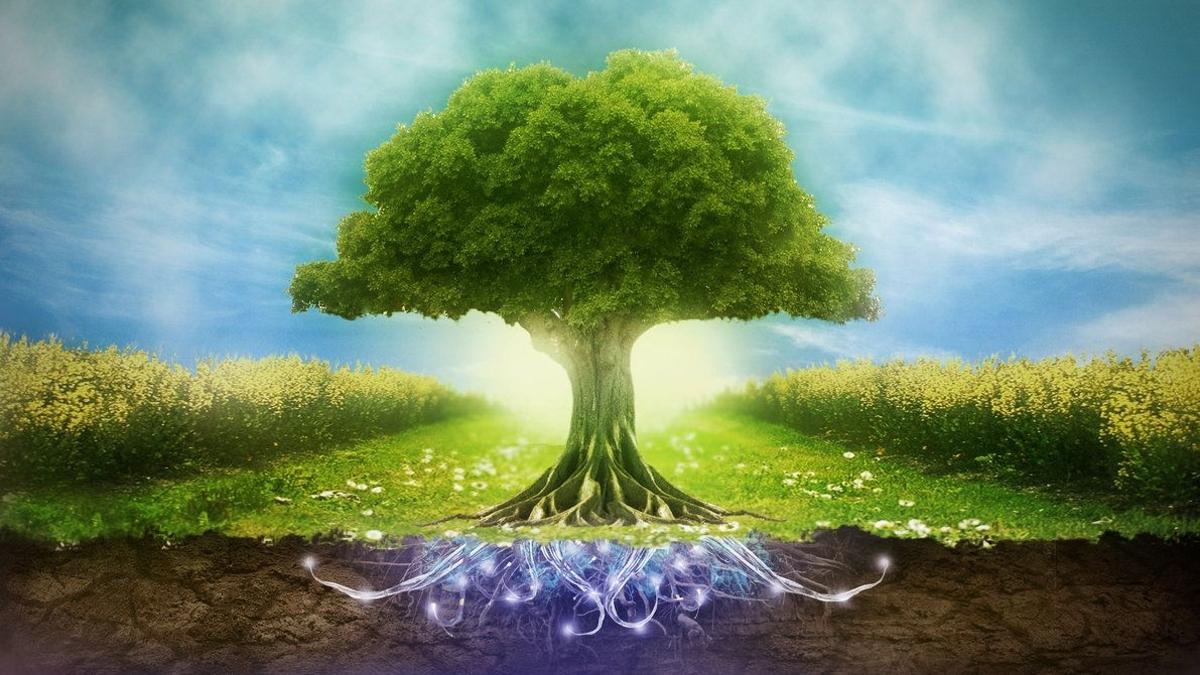 Environmental Beauty: ‌Discovering the Natural‍ Wonders Amidst a Troubled Past