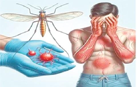 Dengue Fever​ Incidence​ Trends Across the European Union