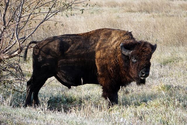 Strategic Advantages of South Dakota for Biotech Investment