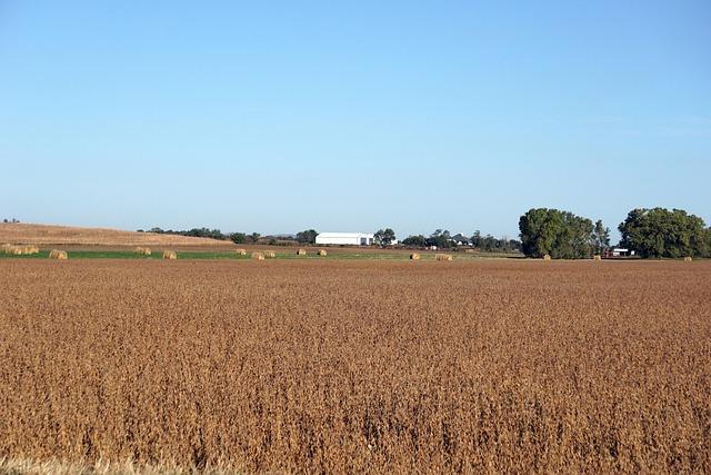 Kansas Lawmakers Demand Urgent Action on Delayed USAID Food Aid