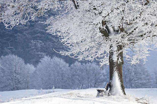 Recreational Activities to Embrace during Winter