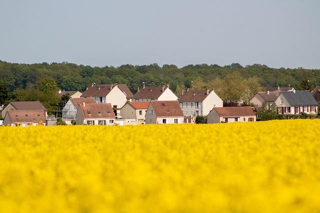 Insights⁢ from⁤ Residents: What Makes This Suburb a Great Choice