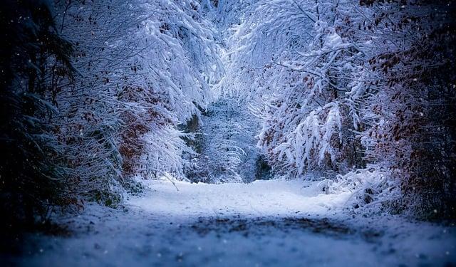 Impact of Heavy Snowfall on Local Infrastructure
