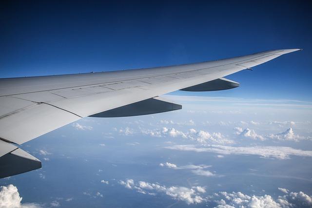economic Ramifications for Airlines: Assessing the Financial Fallout of the Prohibition