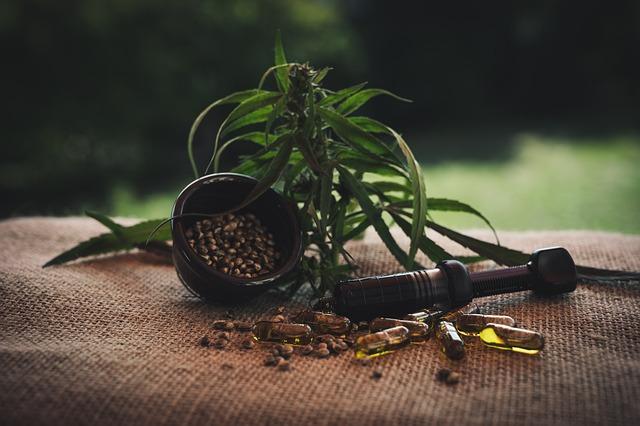 Differentiating Between CBD and THC: Impacts on Health