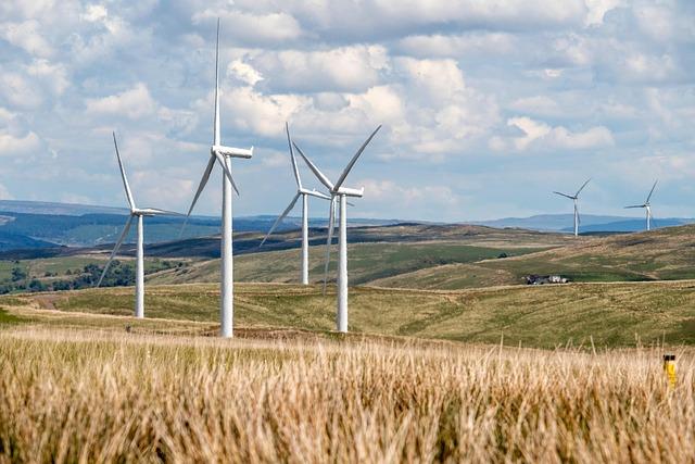 Looking Ahead: Policy Recommendations for a Sustainable Solution