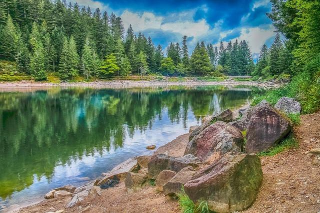 Enhancing Biodiversity through Targeted Wetland Restoration Efforts