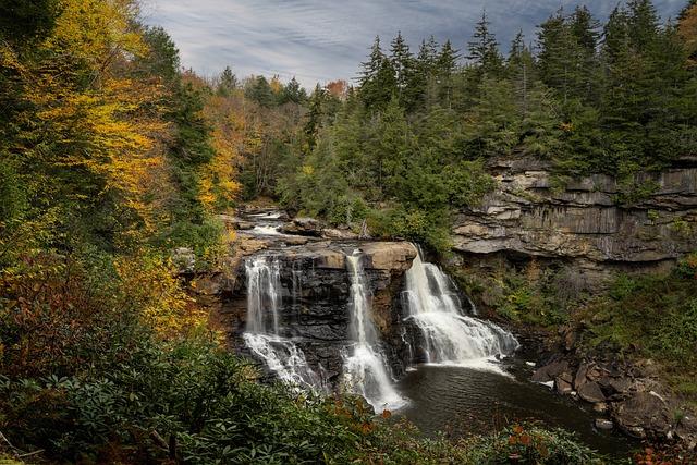 West Virginia Takes a Stand Against Artificial Food Dyes
