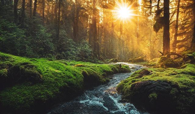 Finding Common Ground: Bridging the divide Among Congregants