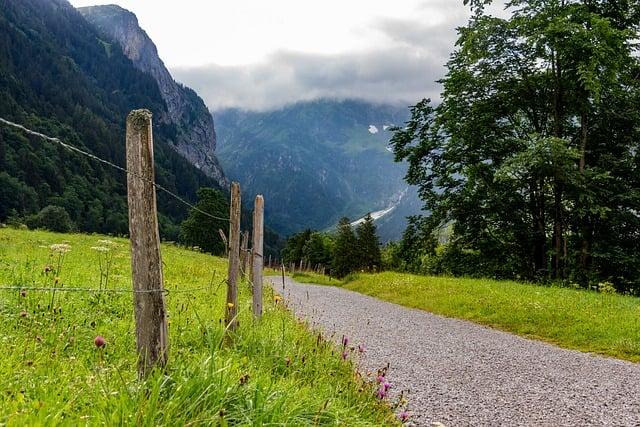 Understanding the Design and Features of the Quiet Trail