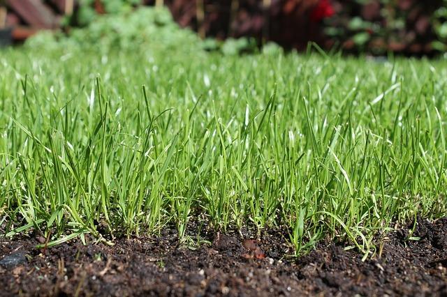 Innovative Solutions for Soil Remediation and Public Health Protection