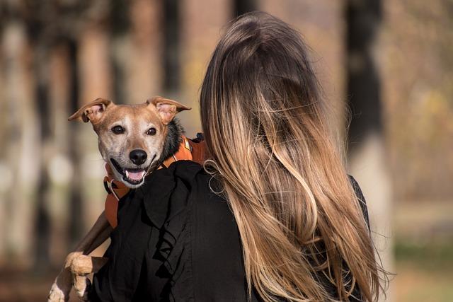 Navigating Quarantine⁤ and Entry Restrictions for ‌Pets