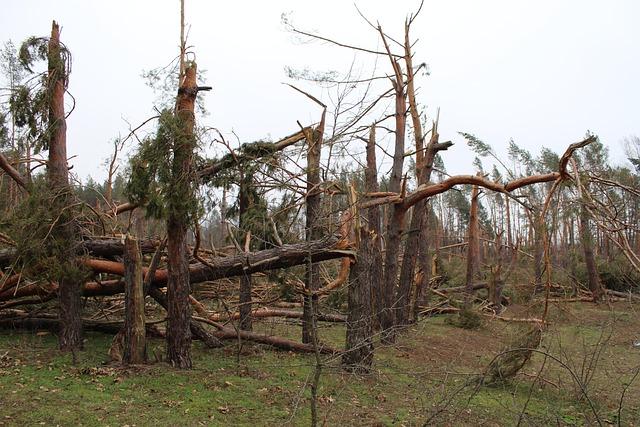 Weather Preparedness: Strategies for Residents in Tornado-Prone Areas