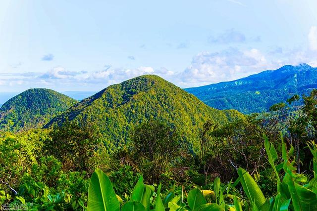 Where to Find Live Streaming Options for Guadeloupe vs Nicaragua in the USA