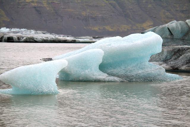 Environmental Concerns: Addressing Climate Change and Conservation