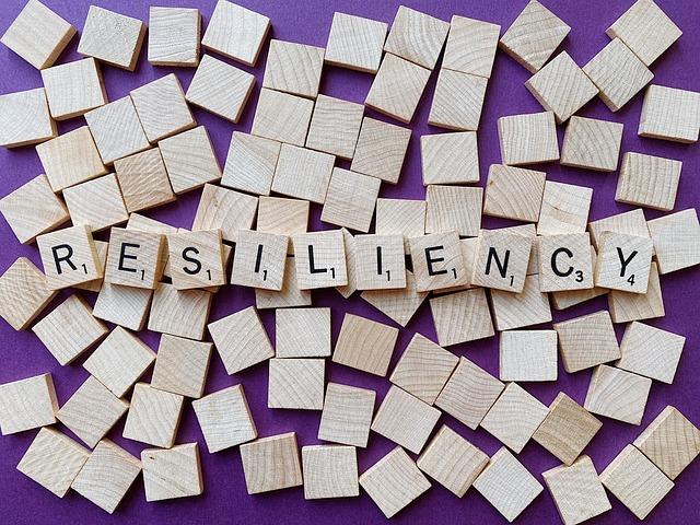 Community Resilience: How Local Populations are Coping with Crisis