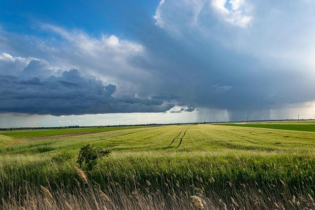 Understanding the Meteorological Conditions behind the Storm