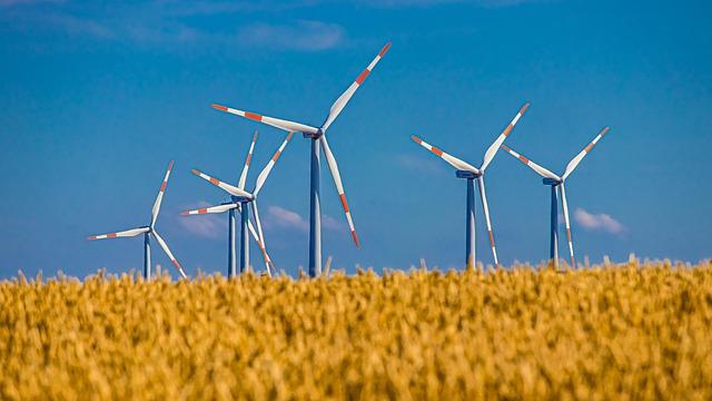 Sustainable Practices and Innovation: Key Focus Areas for Development
