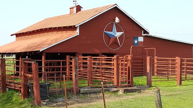 Response Measures Implemented by Texas Tech Administration