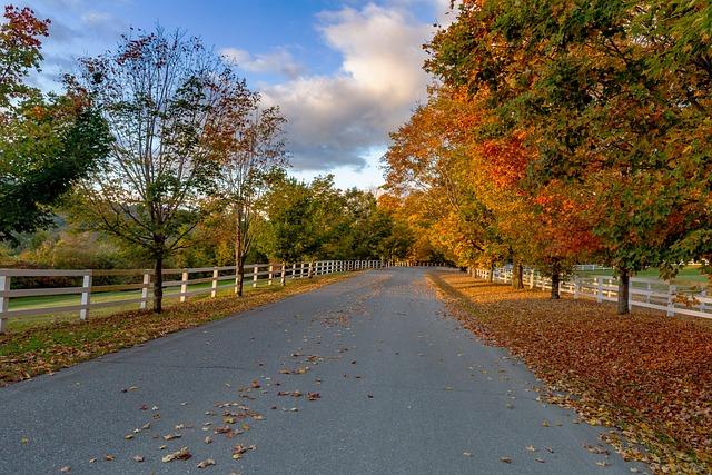 Impact of Election Results on Vermont Politics and Policy