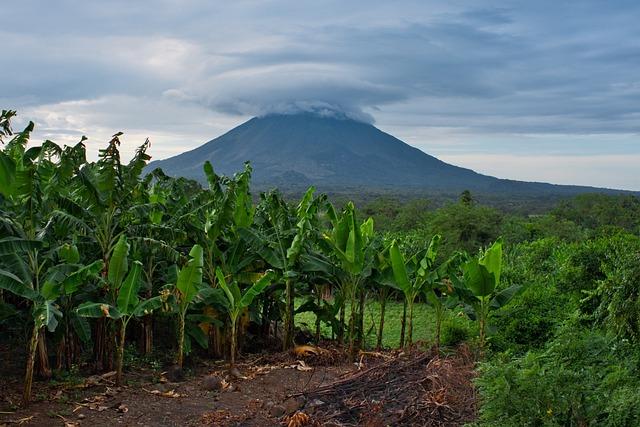 The Path Forward: Ensuring Lasting Change in Nicaragua's Political Landscape