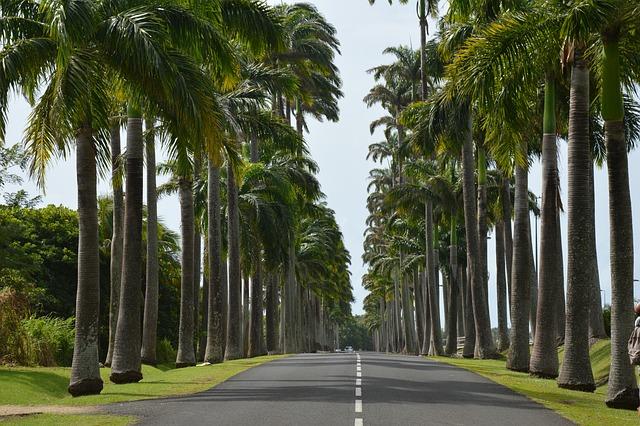A Closer Look at Guadeloupe's Appeal to Brazi and Kuwait's Travelers