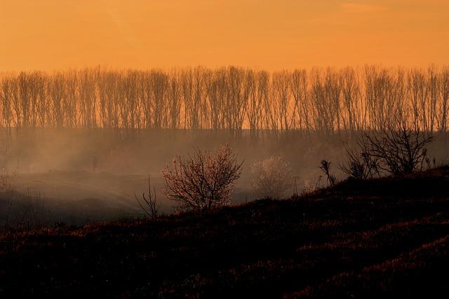 Updates on Natural Disasters and Climate Resilience Strategies