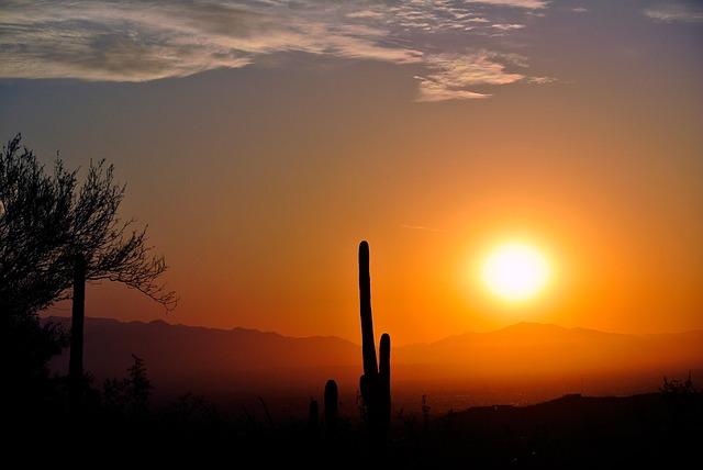 Potential ⁣Implications of a Tightening Race ‍for‌ Arizona's Future