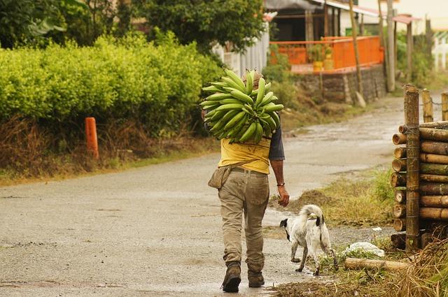 A Call to Action: Recommendations for Future Engagement and Support in Colombia