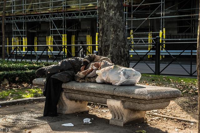 Understanding the Landscape of Homelessness Across the ‍States