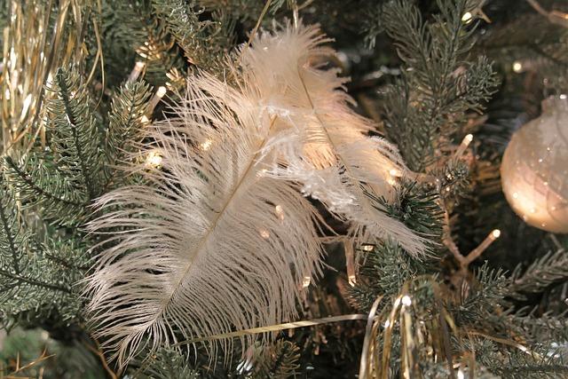Festivities Across the Nation: A Look at Major Events and Activities