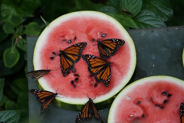 Key factors Influencing the Arrival of Monarch Butterflies in Michigan