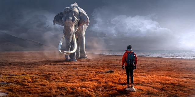 Wildlife Encounters and Best Viewing Spots