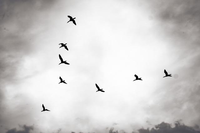Alternative Solutions for Addressing Migration Challenges in the Region