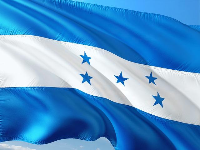 Results of Honduras Primary Elections Reflect ‌voter Discontent