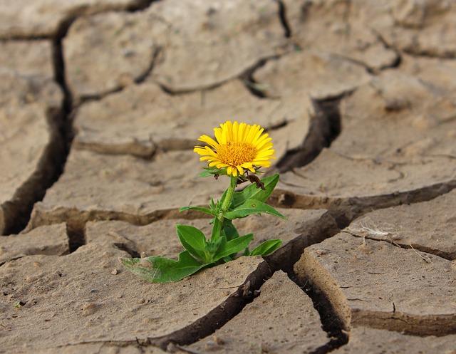 Long-Term Solutions for Climate Resilience in the Region